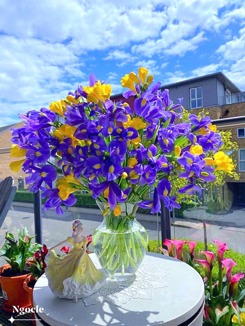 Tử vi ngày 13/5/2022 của 12 cung hoàng đạo